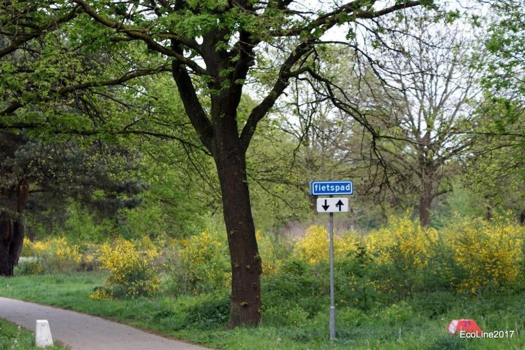 Villa Huinerhofje 2 - Vrijstaand Met Grote Omheinde Tuin, Rust, Privacy En Nabij Bossen Putten Esterno foto