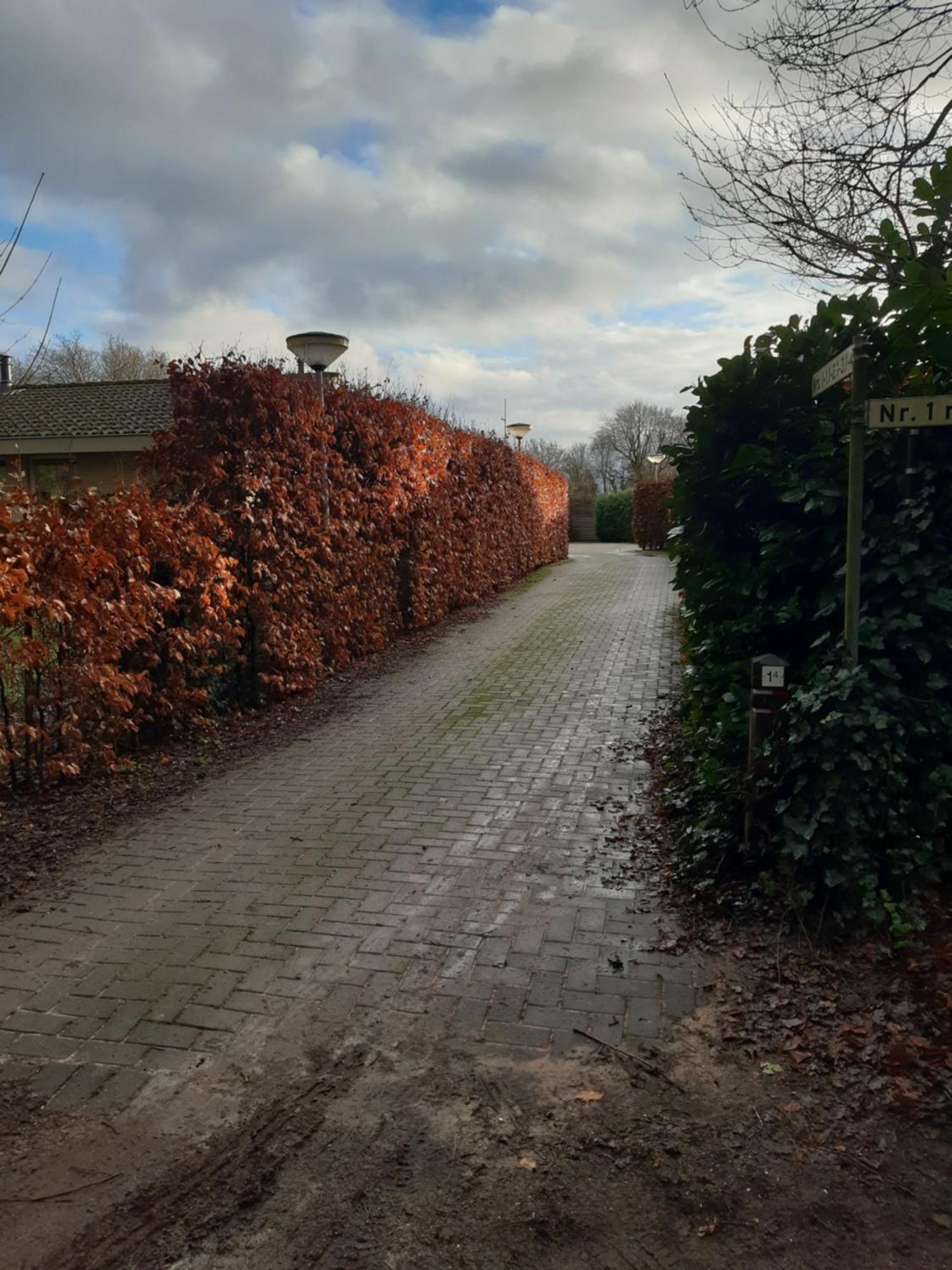 Villa Huinerhofje 2 - Vrijstaand Met Grote Omheinde Tuin, Rust, Privacy En Nabij Bossen Putten Esterno foto