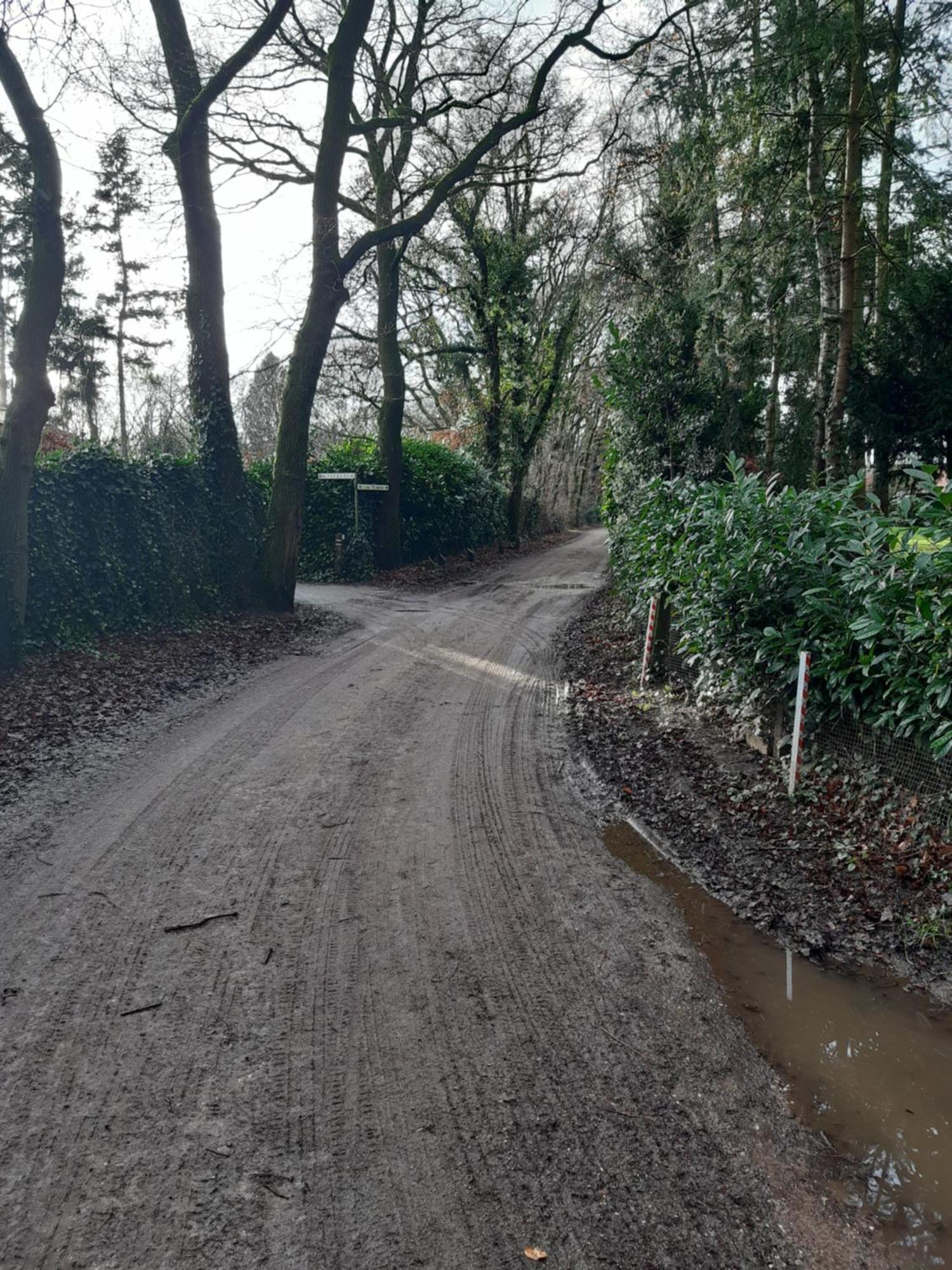 Villa Huinerhofje 2 - Vrijstaand Met Grote Omheinde Tuin, Rust, Privacy En Nabij Bossen Putten Esterno foto